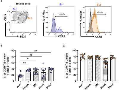 Chemokine Receptor-6 Promotes B-1 Cell Trafficking to Perivascular Adipose Tissue, Local IgM Production and Atheroprotection